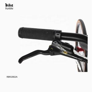 Vente chaude personnalisée 20 pouces street jump dirt <span class=keywords><strong>BMX</strong></span> jeux <span class=keywords><strong>BMX</strong></span> <span class=keywords><strong>BMX</strong></span> vélos <span class=keywords><strong>freestyle</strong></span> vélo <span class=keywords><strong>de</strong></span> course boue - Product Image 5