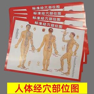 Diagrama de puntos de acupuntura, tabla de meridianos humanos para masaje de pies, terapia de ventosas, guía de referencia, tamaño estándar 39x26 cm - Product Image 3