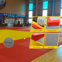 Tapis de judo en toile haute densité pour l'entraînement au karaté, imperméables, tapis de BJJ et de judo
