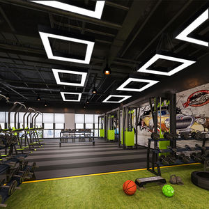 Lámpara Lineal Moderna Personalizada, Regulable, de Hierro Negro, Alto CRI 90, IP20, Solución de Iluminación para Sala de Billar, Gimnasio, Restaurante, Club - Product Image 3