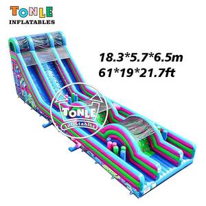 Toboggan gonflable tropical à double piste de 61 pieds de long avec parcours d'obstacles, idéal pour les courses de défi, à vendre - Product Image 1