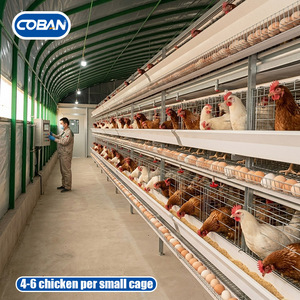 Sistema de Jaulas de Batería para Gallinas Ponedoras de 4 Niveles Tipo A para Cría de Pollos de Engorde Africanos con Silo de 10-50 Toneladas y Línea de Alimentación - Product Image 1
