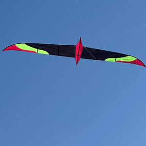 Nuevo cuchillo personalizado <span class=keywords><strong>de</strong></span> 6 metros, <span class=keywords><strong>cometa</strong></span> <span class=keywords><strong>de</strong></span> pájaro P31, tela Breeze, <span class=keywords><strong>vuelo</strong></span> al aire libre para adultos, se entrega directamente desde <span class=keywords><strong>la</strong></span> fábrica china - Product Image 1