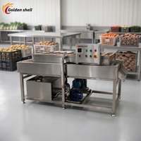 Industriële fruit- en groentewasmachine Automatische reinigingsmachine voor voedselverwerking