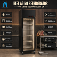 Réfrigérateur de maturation de bœuf BSG630 500L, vitrine de présentation à porte unique pour boucherie et cuisine de restaurant