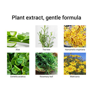 <span class=keywords><strong>BREYLEE</strong></span> Set 2 en 1 para Puntos Negros: Mascarilla Nasal con Extracto de Árbol de Té + Serum Líquido Original para Puntos Negros en Caja - Product Image 3