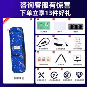 เมโลดิก้า Feifan 37 คีย์ เปียโนพกพา เครื่องดนตรีระดับมืออาชีพ สำหรับผู้ใหญ่ ผู้เริ่มต้น นักเรียน ใช้ในห้องเรียน - Product Image 2