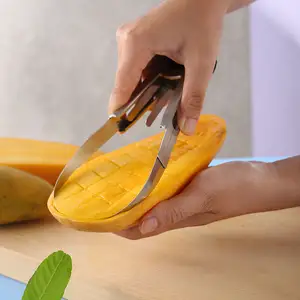 2 In 1 Mango Peeling Separator Pawpaw Digging Manual Mango Slicer Fruit Cubes Cutter