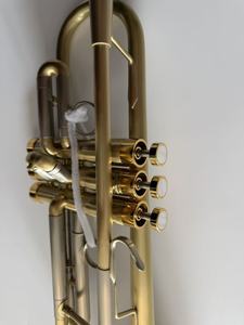 Trompeta H70 Bb Profesional Estándar, Importada, de Latón, Nueva, con Acabado Artístico, para Profesores de Trompeta - Product Image 4