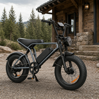 Vélo électrique à pneus larges de 20 pouces 48 V 250 W pour la vente en gros