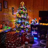 Northland CE FCC UKCA auf Lager RGB Soft Color Indoor Outdoor LED Fee Lichterketten Weihnachts baum Dekor Licht für den Garten