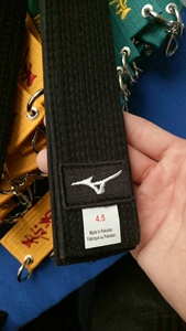<span class=keywords><strong>Ceinture</strong></span> de judo de haute qualité 100% coton, largeur 45 mm, unisexe, <span class=keywords><strong>karaté</strong></span>, IJF, judogi - Product Image 2