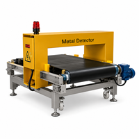 Machine de détection automatique numérique des métaux dans les fenêtres pour minerai de fer de haute qualité, spécialisée pour les convoyeurs à bande en acier