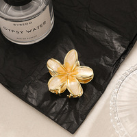 Pince à cheveux élégante en alliage de zinc, motif frangipanier/plumeria, haut de gamme, romantique, décontractée, pour femme, personnalisable