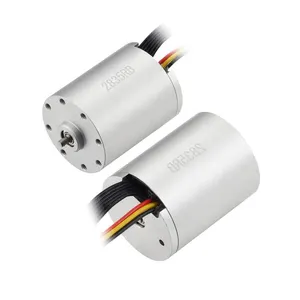 Faradyi 10000RPM Industrial Automation Robot Coreless Brushless Motor Factory Price 12V 24V 28mm Micro Motor Permanent Magnet