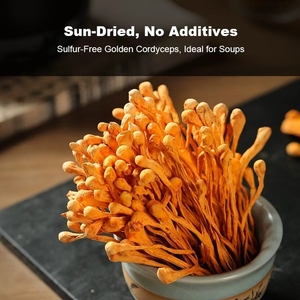 Flor <span class=keywords><strong>de</strong></span> Cordyceps Dorada al por Mayor, Flor Natural Amarilla <span class=keywords><strong>de</strong></span> Cordyceps Militaris, Cordyceps <span class=keywords><strong>Cabeza</strong></span> <span class=keywords><strong>de</strong></span> Leopardo, Hongo Comestible Puro - Product Image 2