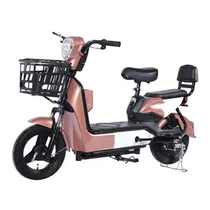 Motor Bicycles 1000W Parts E-Bike Down Tube Italian 5000W Shenzhen Ecycle For Girls Kit India 500W 750W 20 Fat Electric Bicycle