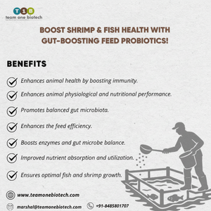 Additifs alimentaires probiotiques pour une digestion équilibrée des nutriments - Product Image 1