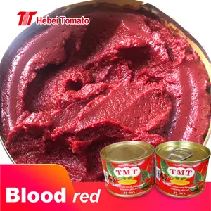 Tomato paste factory price in canned tin with best price tomato sauce