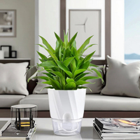 Pot de fleurs hydroponique blanc transparent jardinière en pot bonsaï auto-arrosant pour jardinage à la maison paquet de 1
