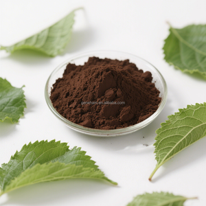 食品グレード10% 天然桑葉エキスMorus Albaハーブ植物エキス粉末状ドラムまたはボトル入り - Product Image 2