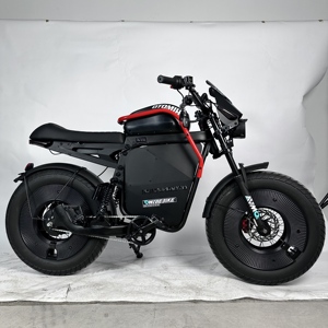 Motocicleta Todoterreno X1 con Motor sin Escobillas de 1000w, Batería de Litio y Neumáticos Anchos - Product Image 4
