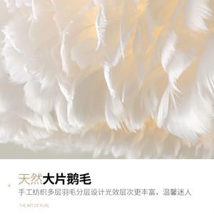 Trendy Nordic Style Feather Pendant <b>Light</b> for Girls Bedroom Dressing Room & Study for Home Use - Product Image 4