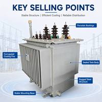 Solución EPC Profesional S11, Transformador de Potencia Sumergido en Aceite con Bobinado de Cobre, 11kv, 33kv, 1000kva, 1600kva, 3 MVA, 10 MVA