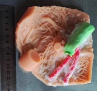 Modèle d'entraînement de la vésicule biliaire humaine KyrenMed modèle de pratique de chirurgie hépatologique en silicone simulateur d'entraînement laparoscopique