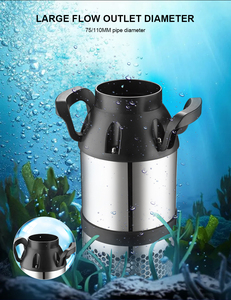 Pump25-250W Nước Cho Ao Dòng Chảy Lớn 45000L/H Cho Vườn Nước Với BP-250-110 CE - Product Image 4