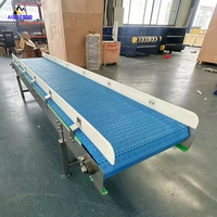 Convoyeur incliné avec garde-corps en plastique Mesh Belt Ascenseur Système de transport de nourriture pour convoyeurs de levage emballés en vrac