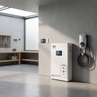 Armoire de batterie au lithium hybride empilable de 16 kWh pour stockage d'énergie sur réseau, 51,2 V 314 Ah, indice de protection IP65, interface CAN, stock UE, UN38.3 CE
