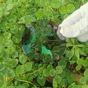 1.56 광변색 블루 블록 렌즈 HMC 코팅 라운드 상단 이중 초점 광학 렌즈 근시 제어 렌즈 - Product Image 2