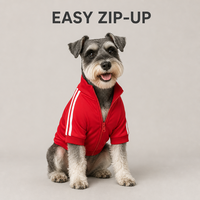 Vêtements pour animaux de compagnie en polaire légère, couleurs mélangées, logo personnalisé, veste zippée pour chien, vente en gros, printemps-automne