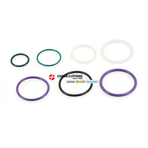 Pemeriksaan perbaikan membangun kembali perlengkapan Gasket segel minyak O cincin untuk Volvo Deutz Renault 0414693007 0414693006 21079032 pompa Unit injeksi - Product Image 2