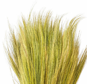 Material Natural, Duradero y Ecológico de Hierba para Escobas y Recogedores Hechos a Mano para Uso en Exteriores, de Indonesia - Product Image 3