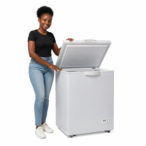12V/24V Solar Household Freezer 158L <b>Refrigerator</b> Horizontal Mini Fridge Solar-Powered Cooling Operates Efficiently Using Solar - Product Image 1