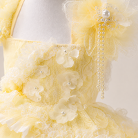 Robe pour animaux de compagnie jaune, style princesse, à volants superposés, jupe en dentelle, applique florale perlée pour petits chiens, vêtements pour animaux de compagnie avec logo personnalisé