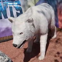 Modèle de loup blanc animatronique sur mesure pour zoo à thème ou robot animal arctique réaliste à vendre