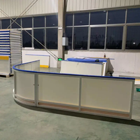 ZSPE Budget-Friendly PE Ice Hockey Dashers Board: Barrières en plastique légères et rentables pour les patinoires communautaires