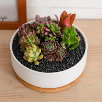 Maison & Jardin Grand pot à fleurs blanc en céramique pour plantes succulentes