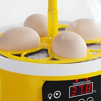 Petite couveuse à œufs pour poulets, canards, oies, dindes, émeus - Haute productivité, taux d'éclosion de 96% à 98%