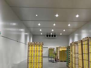 Fournisseur de chambres froides haute performance, solutions de congélation et de stockage frigorifique pour la viande et le poisson - Product Image 2