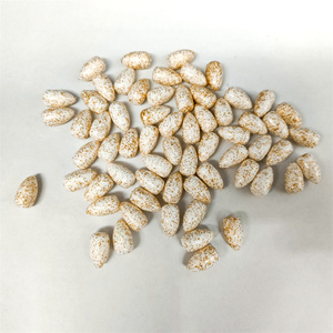 Blanc avec des <span class=keywords><strong>paillettes</strong></span> d'or eps mousse balle bouée flotteurs plate-forme de pêche flotteurs - Product Image 6