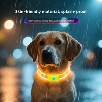 Collier lumineux pour chien en plastique pour la promenade nocturne, anti-perte, rechargeable, disponible en grandes et petites tailles, produits pour animaux de compagnie, accessoires pour animaux de compagnie