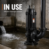 Pompe submersible à double canal pour eaux usées, en acier inoxydable et fonte, coque composite, haute performance pour drainage des eaux usées industrielles, OEM