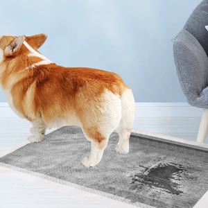 Nouveau produit écologique <span class=keywords><strong>charbon</strong></span> <span class=keywords><strong>actif</strong></span> biodégradable xl <span class=keywords><strong>charbon</strong></span> de bois doggy formation pour animaux de compagnie <span class=keywords><strong>chien</strong></span> pipi pad - Product Image 2