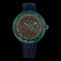 Montre mécanique automatique squelette pour homme, cadran transparent ajouré, montre-bracelet homme OEM