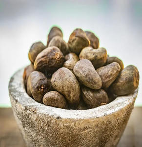 Nueces de Anacardo Crudas Secas Naturales a Granel para Suministro Agrícola - Product Image 1
