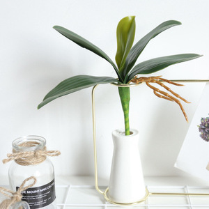 Pegamento suave con hojas de orquídeas y mariposas, hoja de cimbidio Artificial de tres tamaños para decoración del hogar, venta al por mayor - Product Image 2